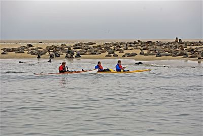 Kajak zu den Robben am Walvis Bay